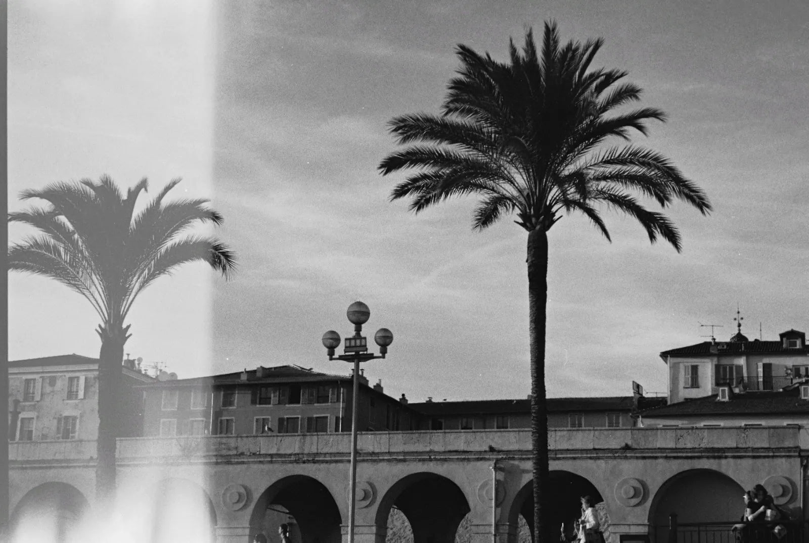Black and white photo of palm trees and a building with arches.